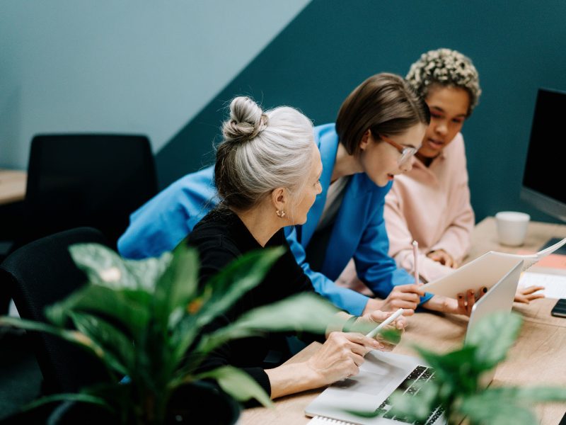 im-main-113207 Ipsum sit amet felis