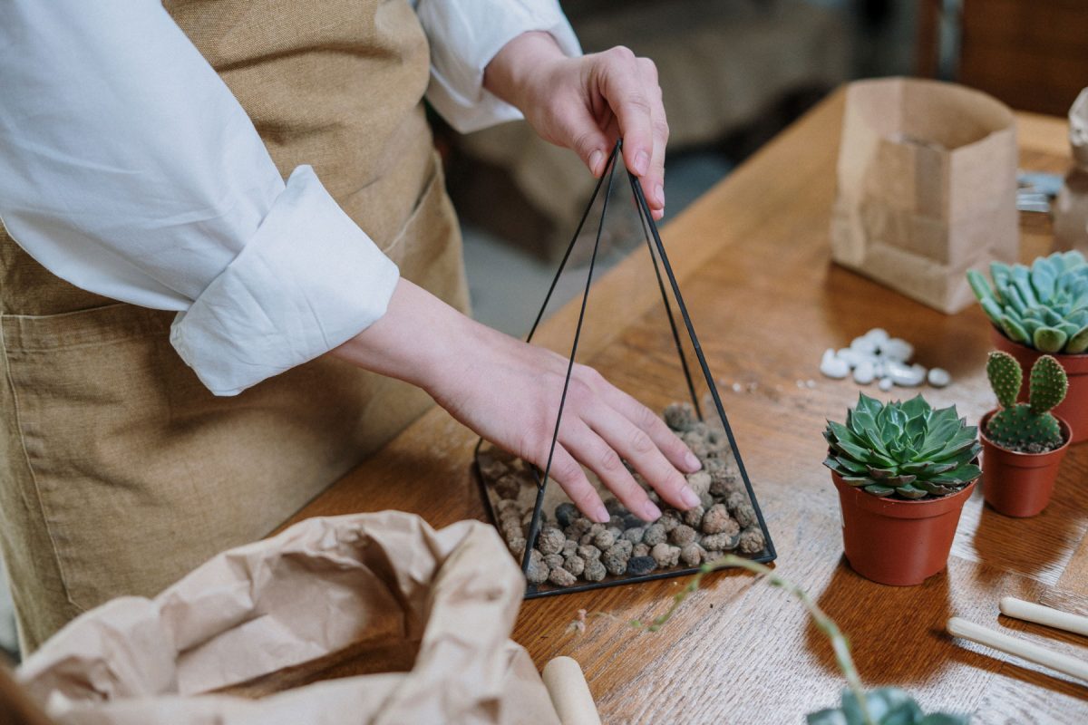 im-main-1203300 im-main-1203300