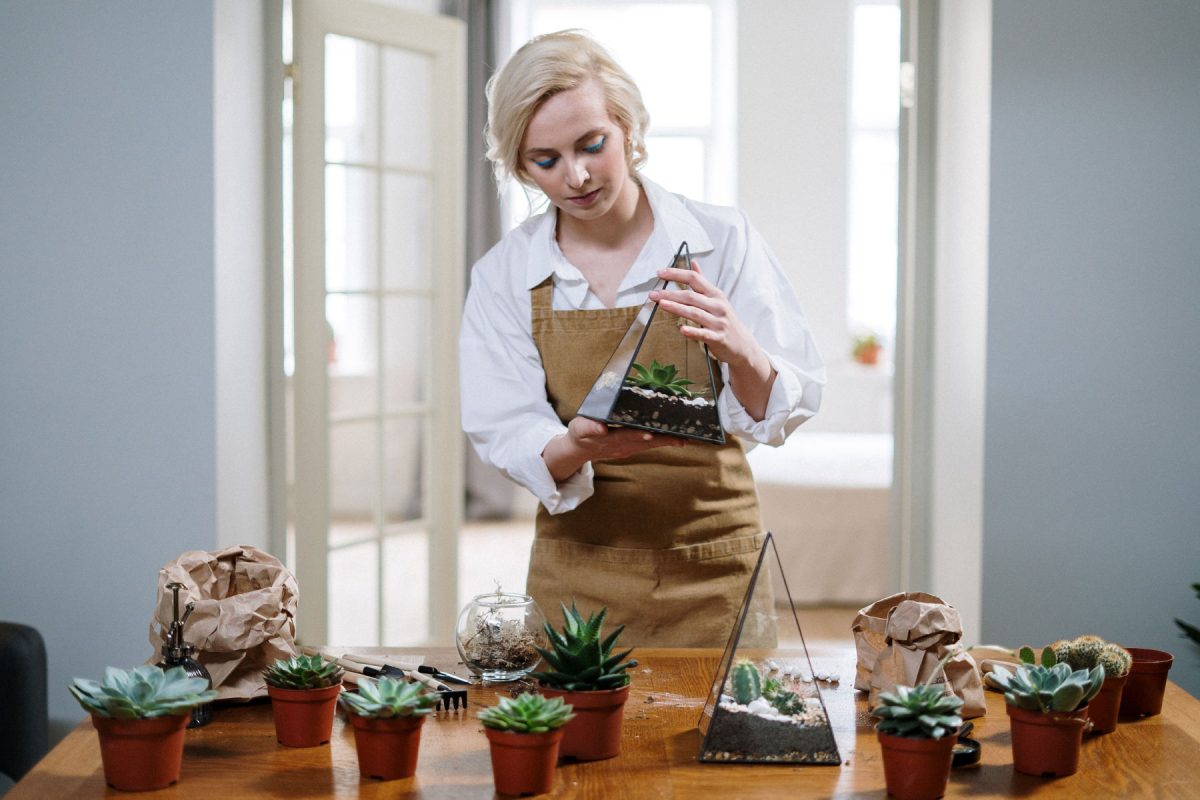 im-main-203305 im-main-203305