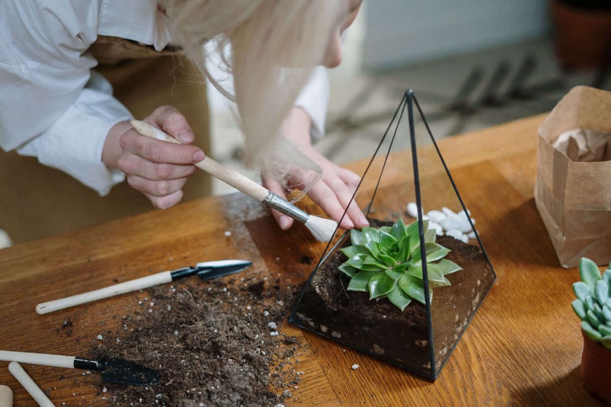 im-main-298001 im-main-298001